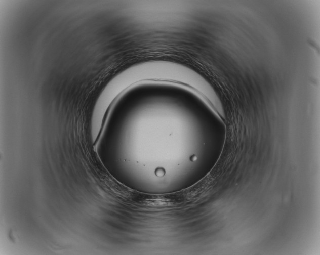 X0000096680316200802191358
