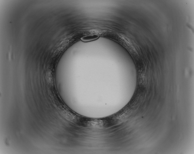 X0000096680317200802191358