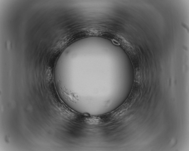 X0000096680318200802191358