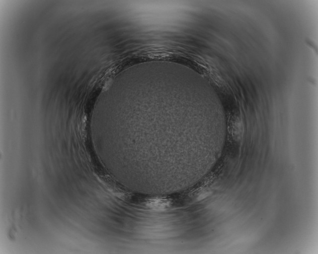 X0000096680319200802191358