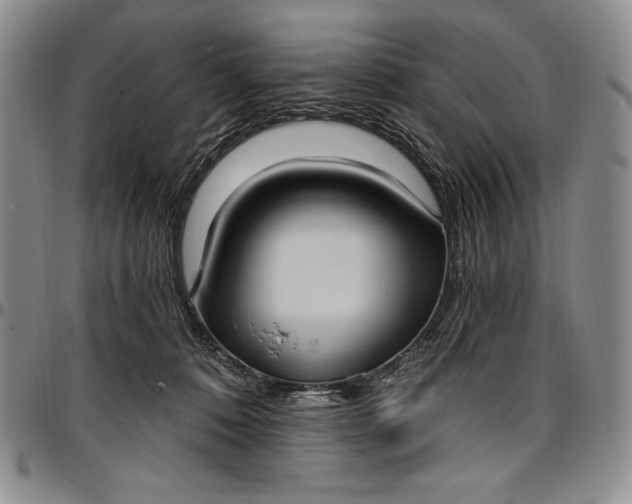 X0000096680320200802191358