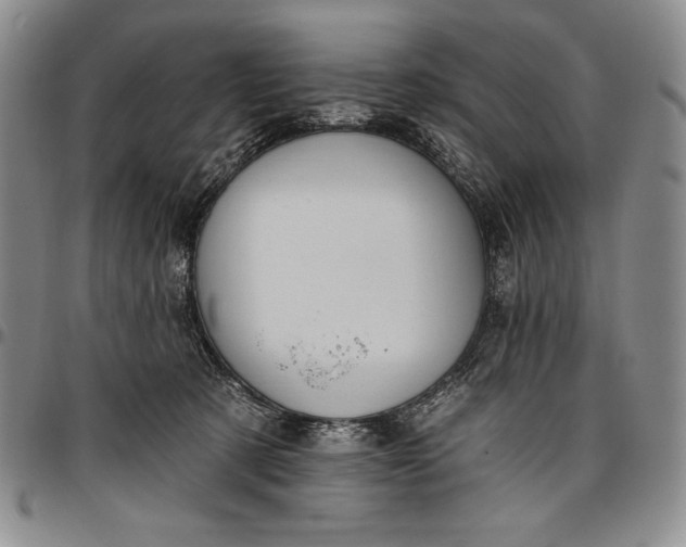 X0000096680321200802191358
