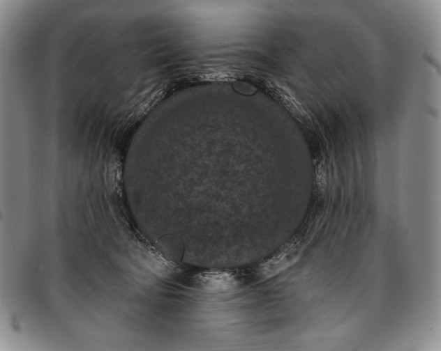 X0000096680322200802191358