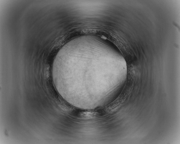 X0000096680323200802191358