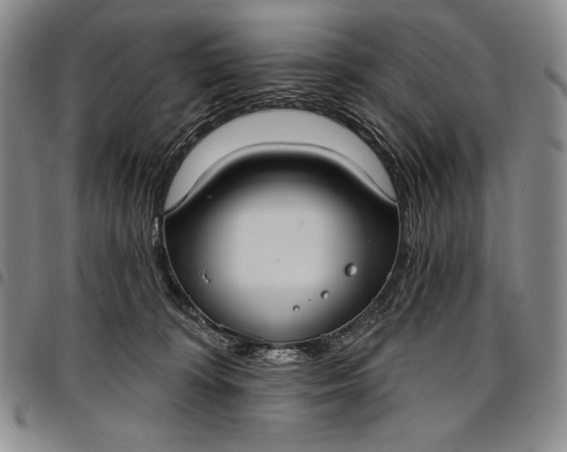 X0000096680324200802191358