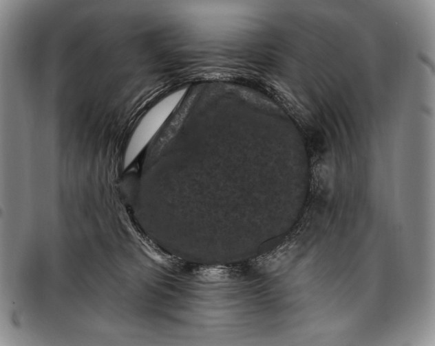 X0000096680325200802191358
