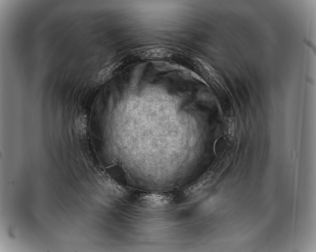 X0000096680326200802191358