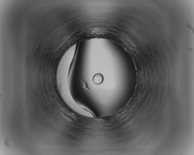 X0000096680328200802191358