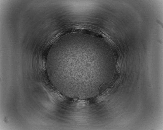 X0000096680330200802191358