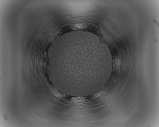 X0000096680331200802191358