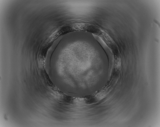 X0000096680332200802191358