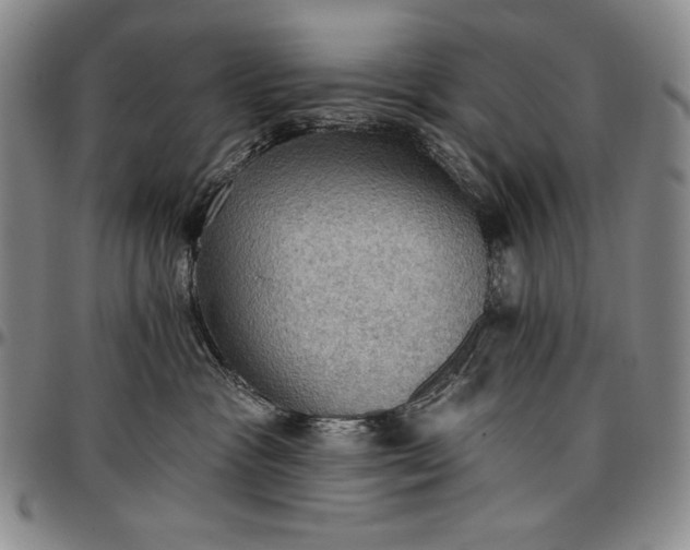 X0000096680333200802191358