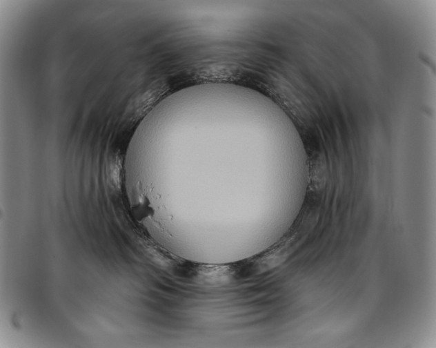 X0000096680334200802191358