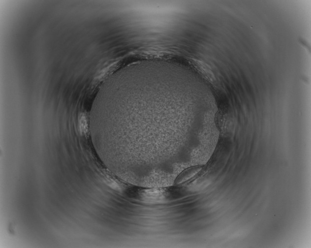 X0000096680335200802191358
