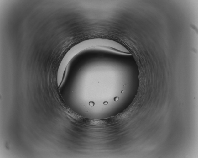 X0000096680336200802191358