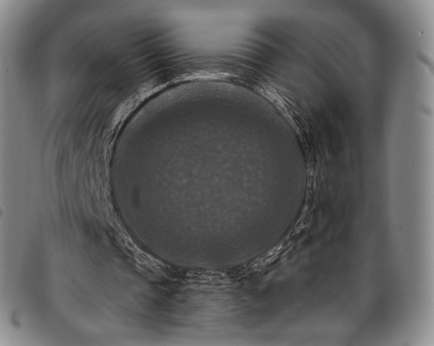 X0000096680337200802191357