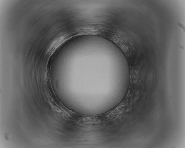 X0000096680338200802191357