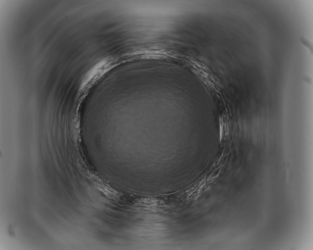 X0000096680339200802191357