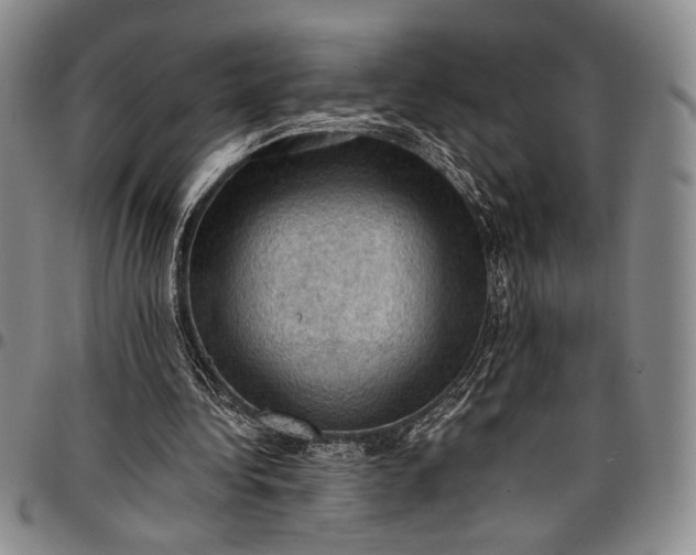 X0000096680340200802191357