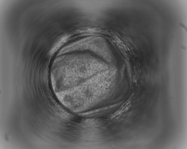X0000096680341200802191357
