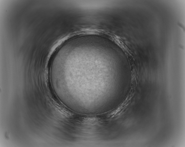 X0000096680342200802191357