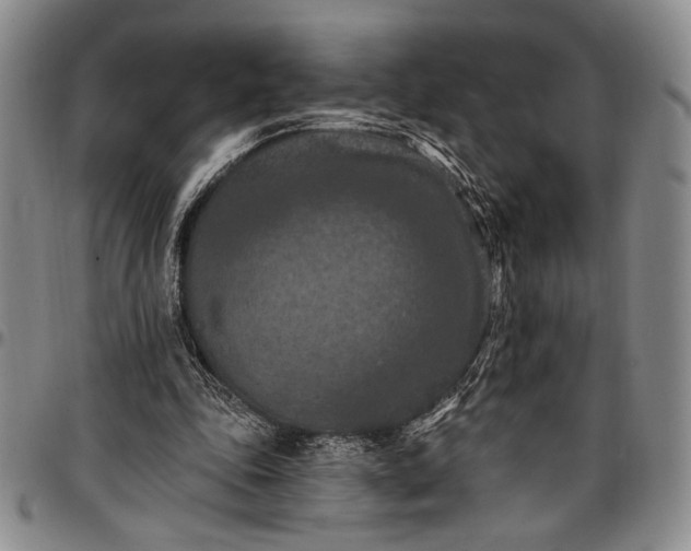 X0000096680343200802191357