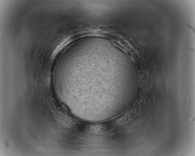 X0000096680344200802191357