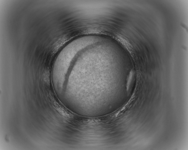 X0000096680345200802191357