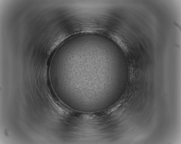 X0000096680346200802191357
