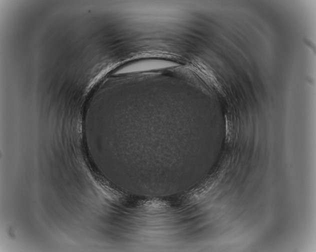 X0000096680348200802191357