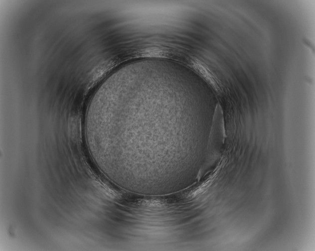 X0000096680349200802191357