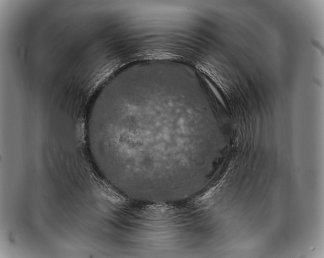 X0000096680351200802191357