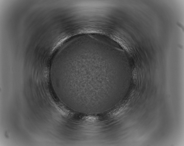 X0000096680352200802191357