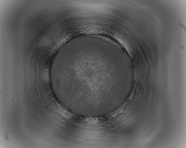 X0000096680353200802191357