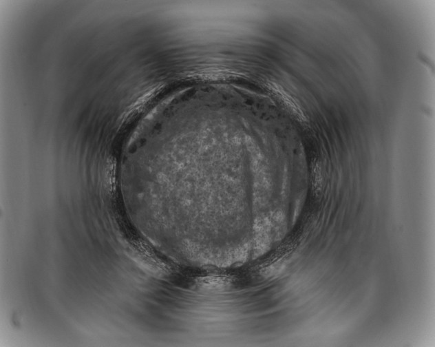 X0000096680356200802191357