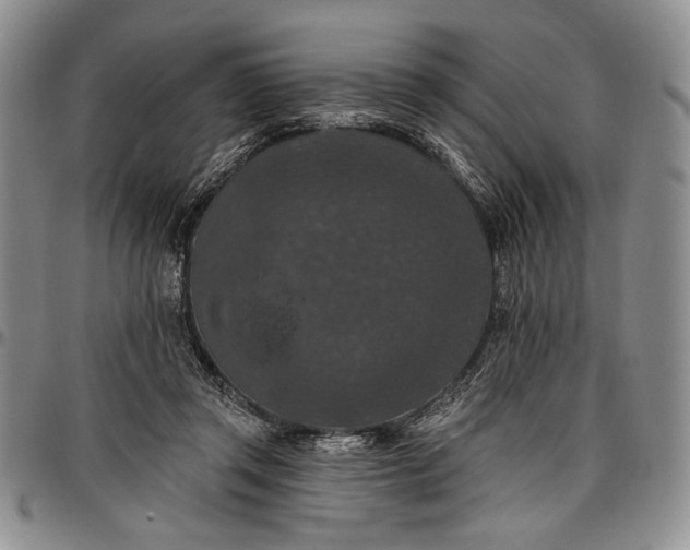 X0000096680357200802191357