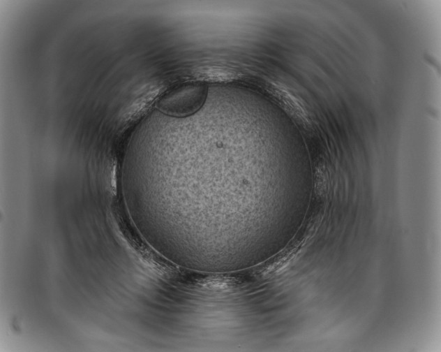 X0000096680358200802191357