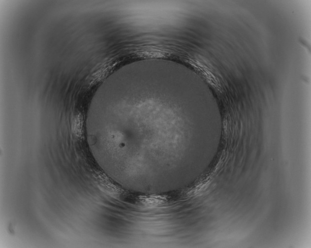 X0000096680359200802191357