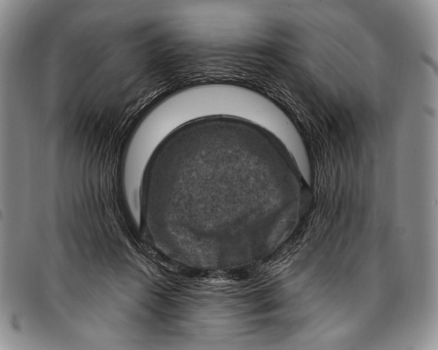 X0000096680360200802191357