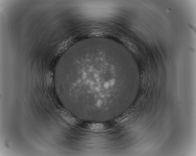 X0000096680361200802191357