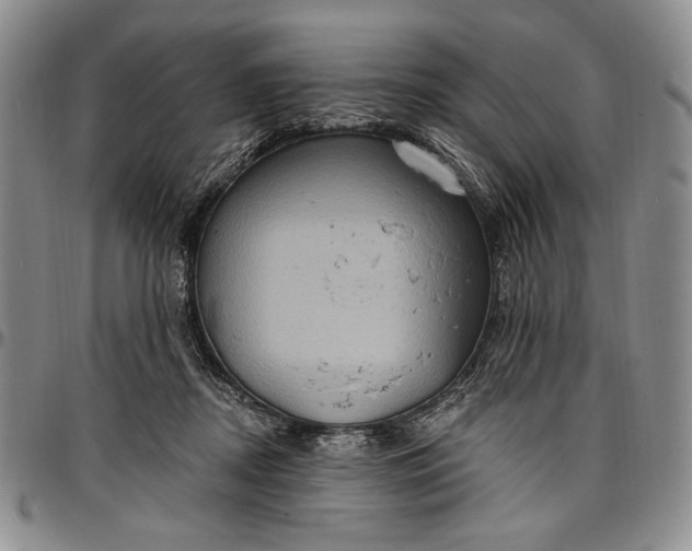 X0000096680362200802191357