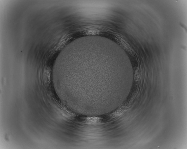 X0000096680363200802191357