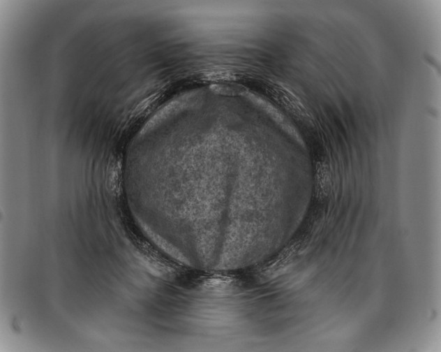 X0000096680364200802191357