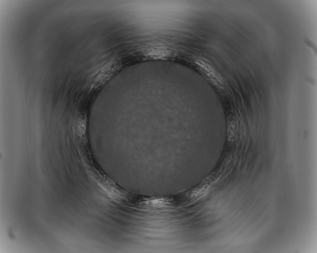 X0000096680365200802191357