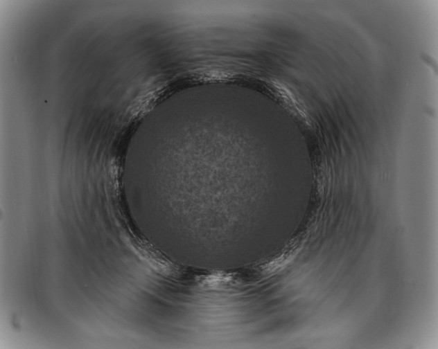 X0000096680366200802191357