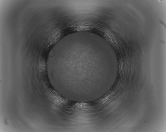 X0000096680367200802191358