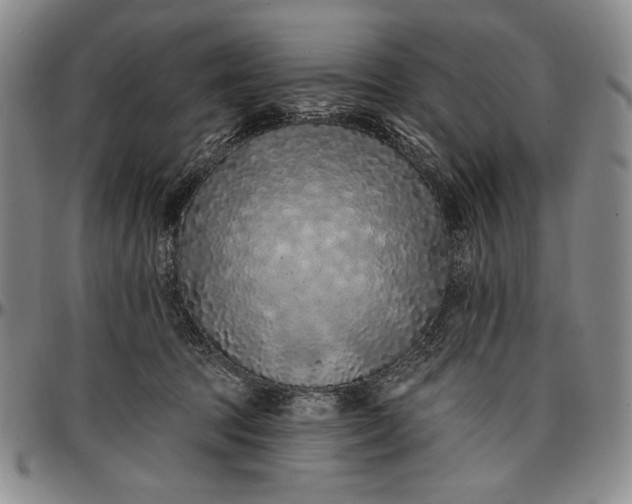 X0000096680369200802191358