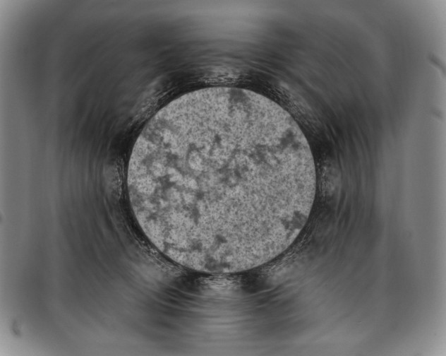 X0000096680370200802191358