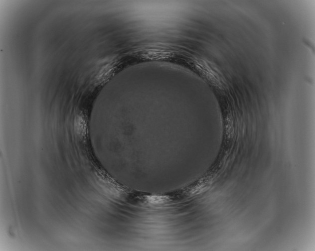 X0000096680371200802191358