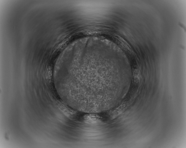 X0000096680372200802191358